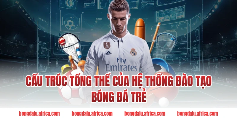 Cấu trúc tổng thể của hệ thống đào tạo bóng đá trẻ