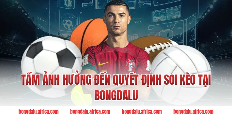Tầm Ảnh Hưởng Đến Quyết Định Soi Kèo Tại Bongdalu